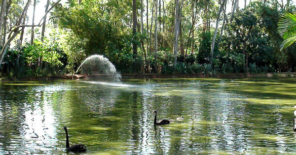 Morar proximo a um park e para poucos